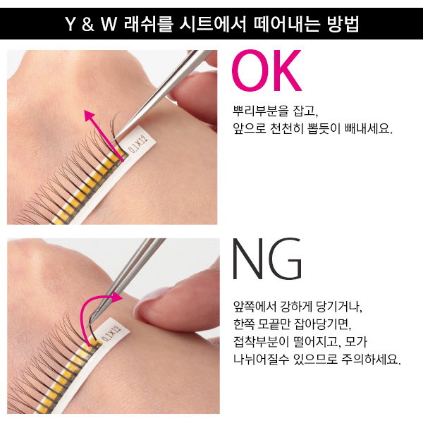 [WORLD LASH] 프리미엄 세이블 Y래쉬 J컬 0.1mm_5