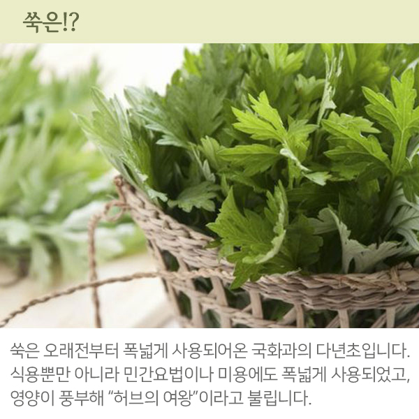 [해외] [yomogi] 유기농 쑥차 2gX10포_1