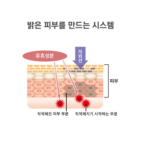 [해외] [MEDISTHE] 약용 BB크림 30g_4