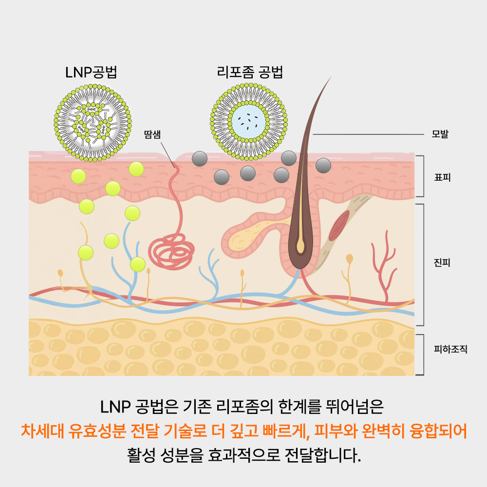 발모레아3.3 LNP 두피 세럼 10ml 3개_9