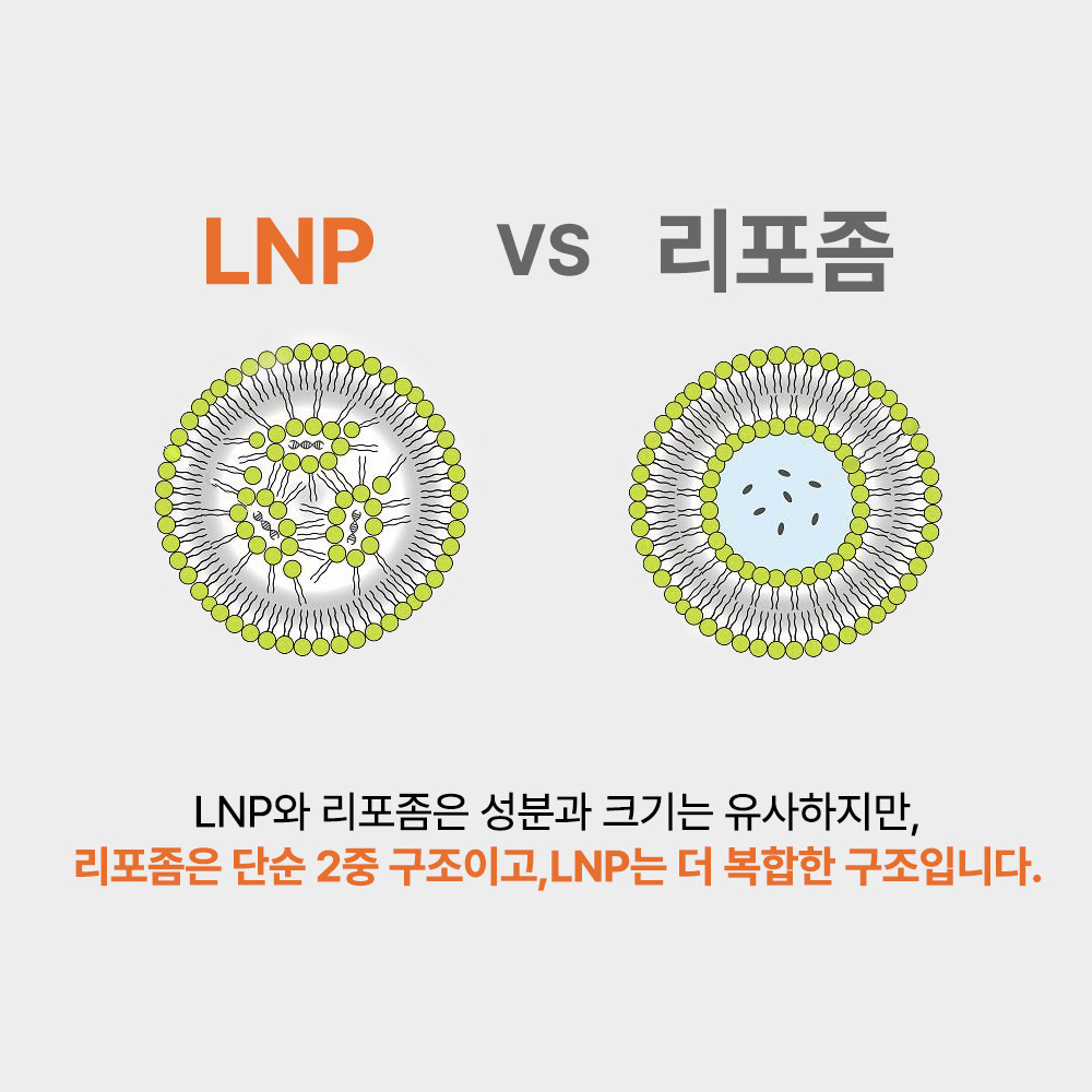 발모레아3.3 LNP 두피 세럼 10ml 3개_8