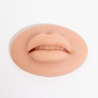 5D 반영구 입술연습 실리콘 고무판 딥스킨