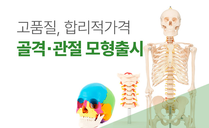 따끔거리지 않는 차세대 니들