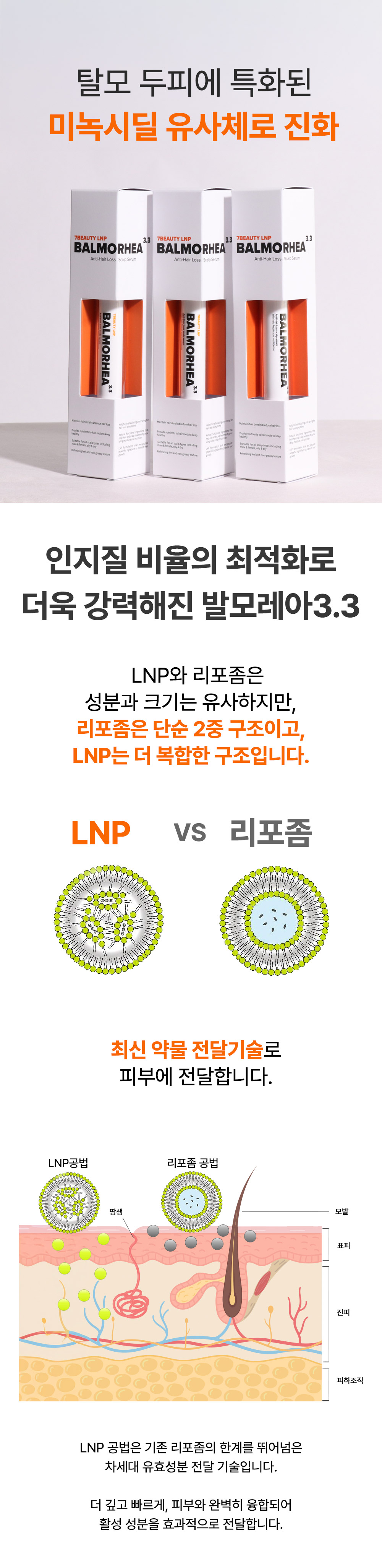 editor이미지