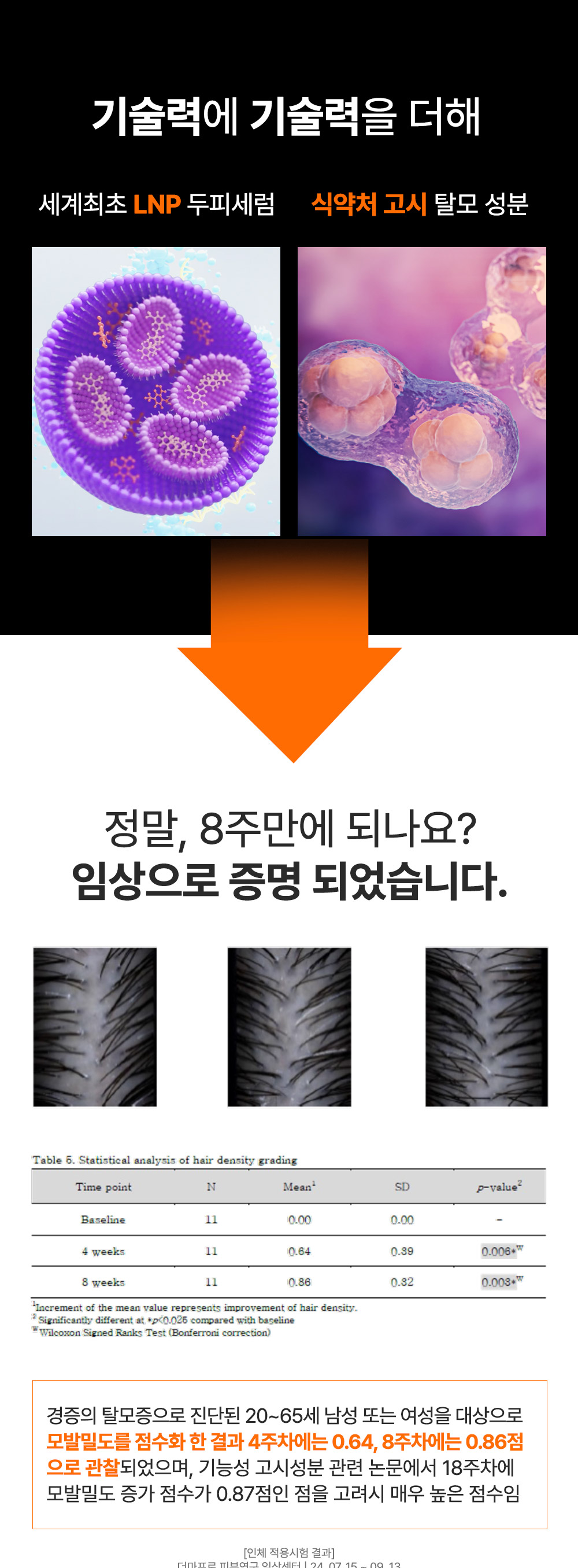 editor이미지