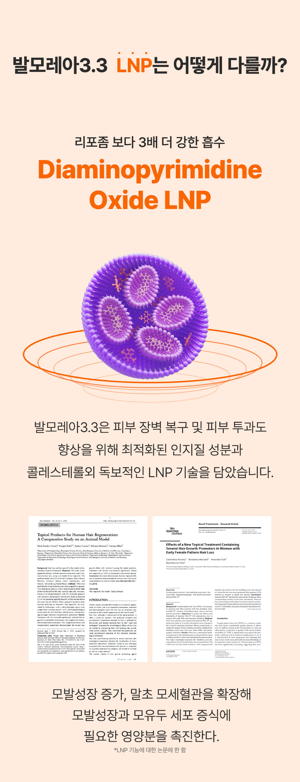 editor이미지